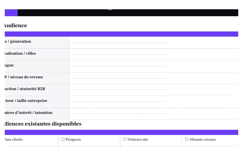 Extrait réel de la section audience du template brief Richmedia